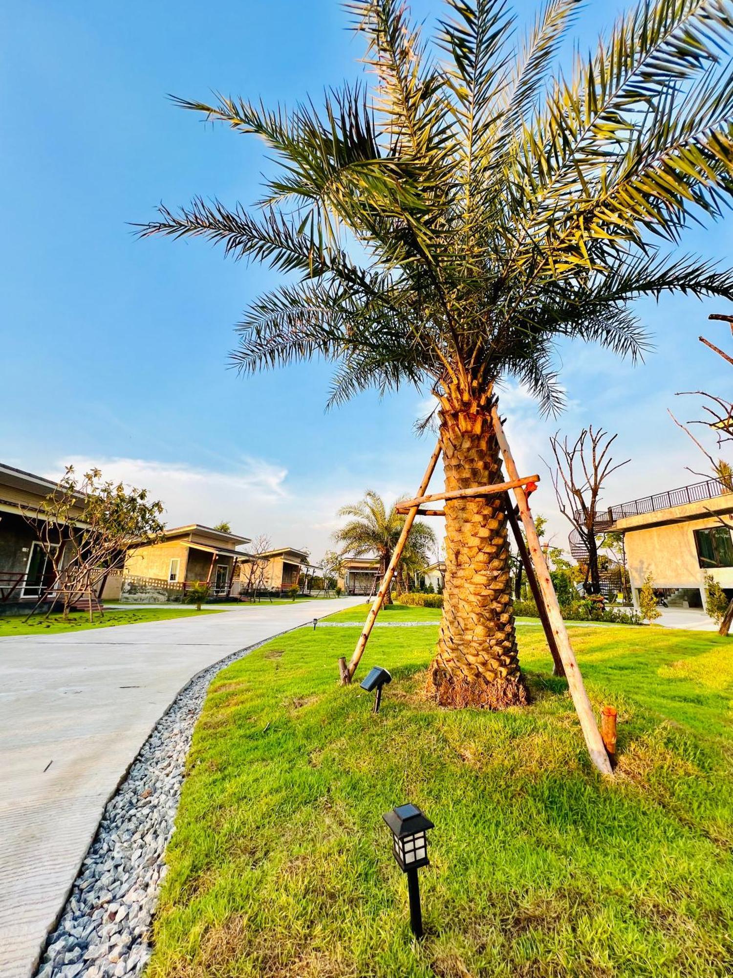Farm View Resort @Uthai Thani ฟาร์มวิว รีสอร์ท อุทัยธานี Nong Khayang Ngoại thất bức ảnh